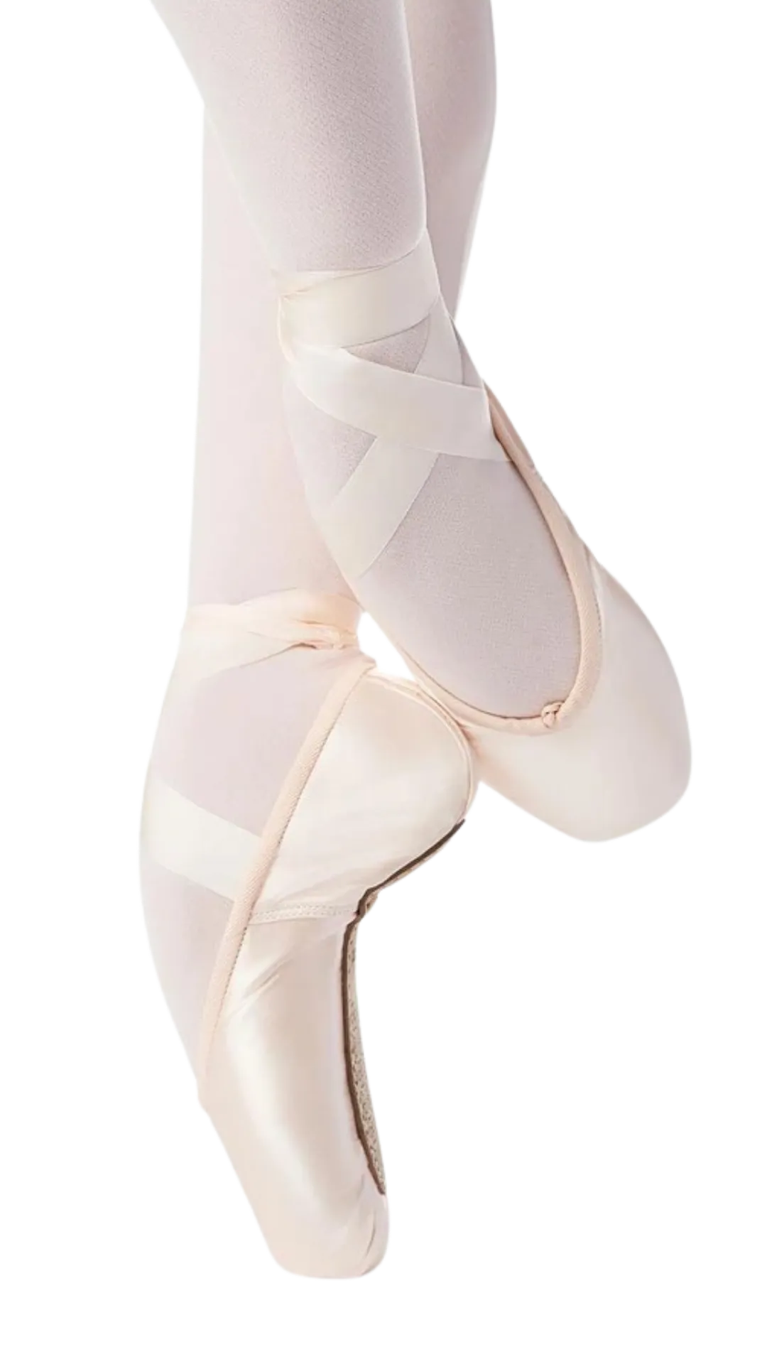 Apogee Pointe Shoe - Hard Shank